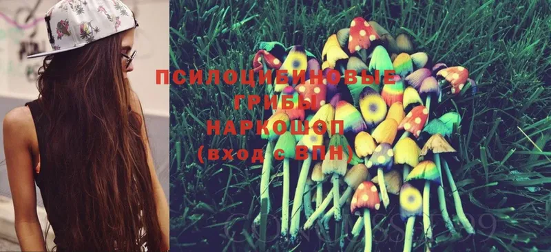 блэк спрут   закладки  Азов  Псилоцибиновые грибы MAGIC MUSHROOMS 